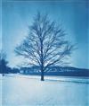 (BOSTON) Album with 63 cyanotypes depicting gardens, parks, and the harbor in greater Boston,